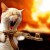 codmw3SoapMacTavish