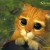 MeOw123