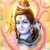 paulsingh848