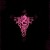 Pink_Dragon
