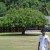 AmmarFirdaus