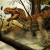 TRexSkulls